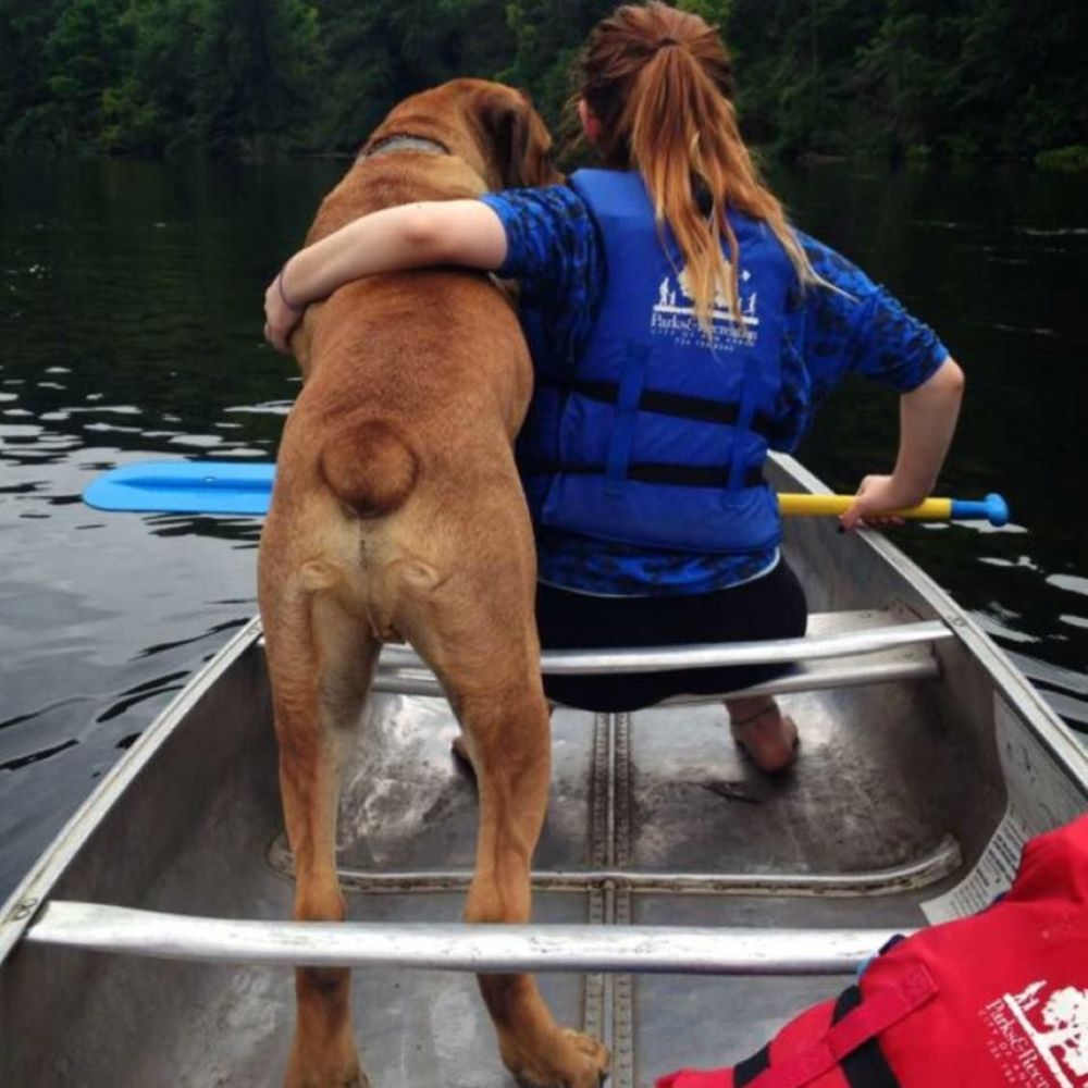 Meet your Posher, Ashley